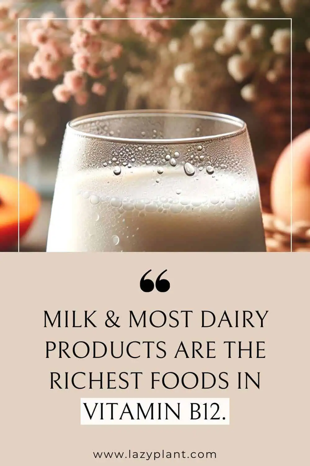 Milk: The richest natural source of Vitamin B12.