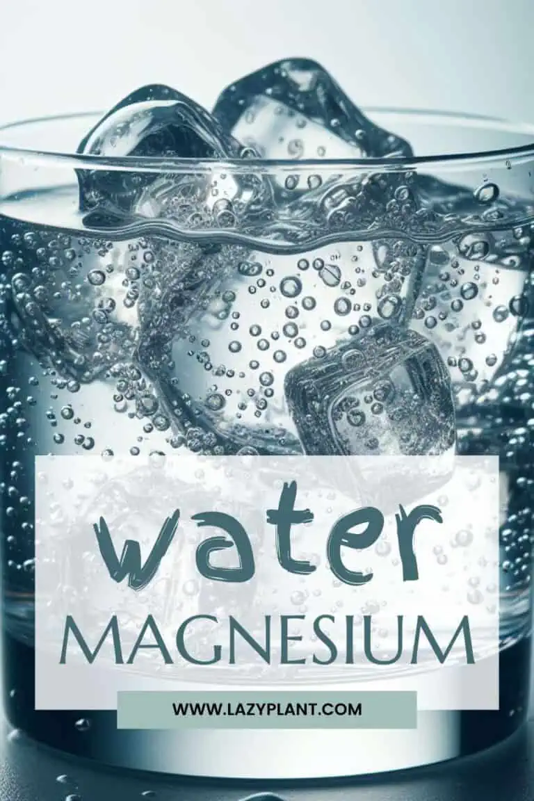 Which Magnesium Is Best For Water Retention Water is a natural source of Magnesium! - LazyPlant