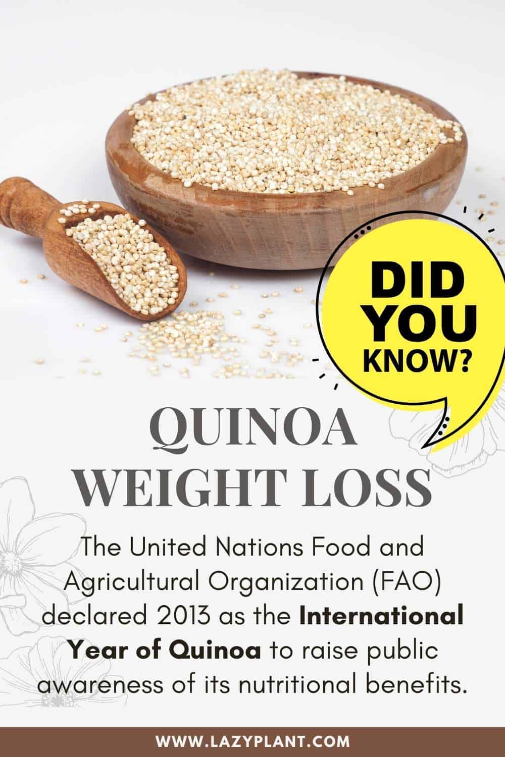 The United Nations Food and Agricultural Organization (FAO) declared 2013 as the International Year of Quinoa to raise public awareness of its nutritional benefits.