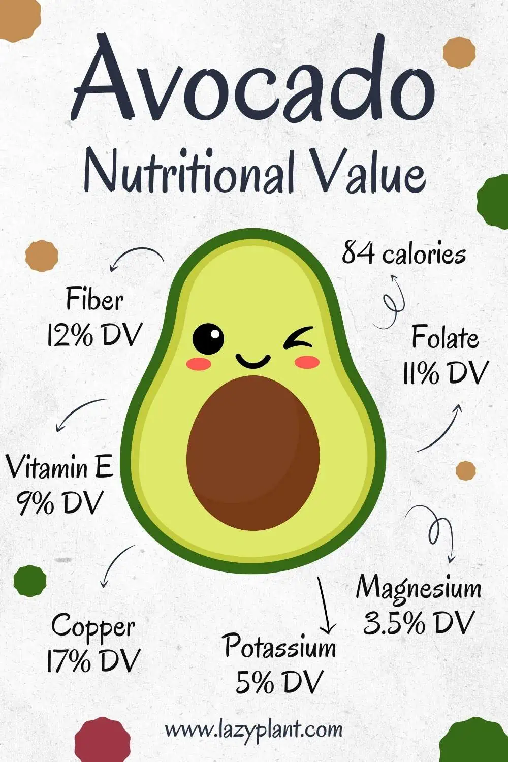 Nutritional Value of Avocado