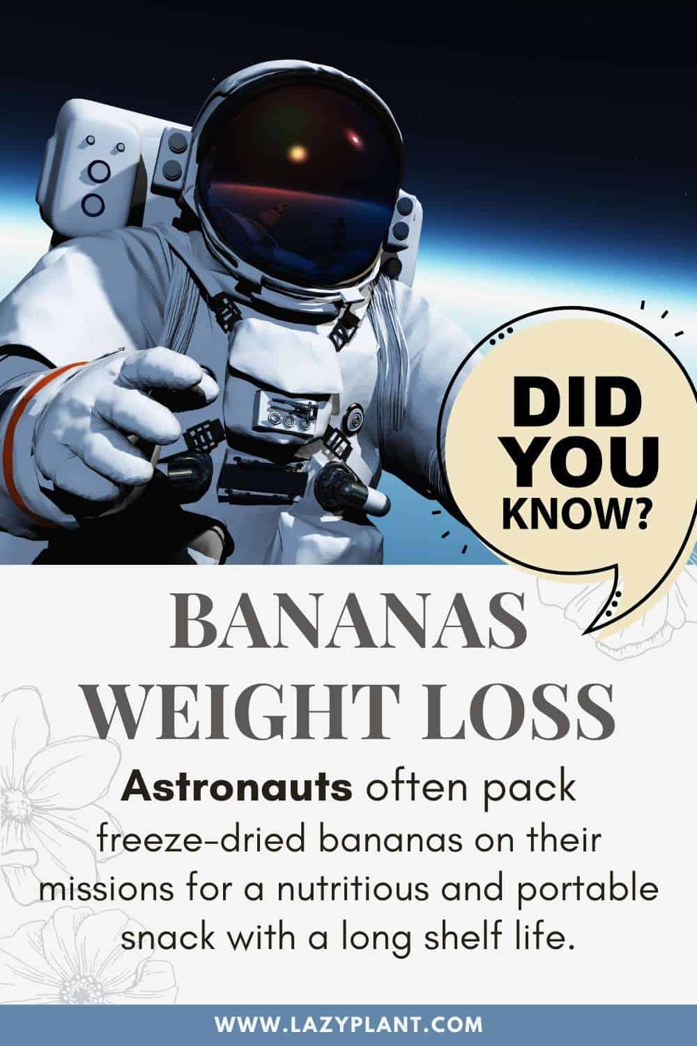 Fun facts of Bananas
