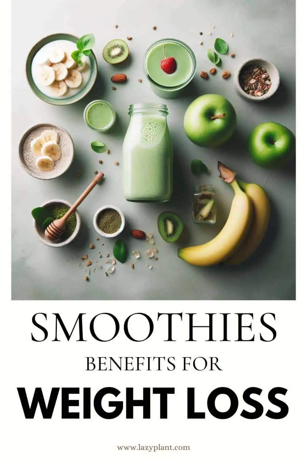 Snack ideas | Explore a variety of healthy smoothies for weight loss.