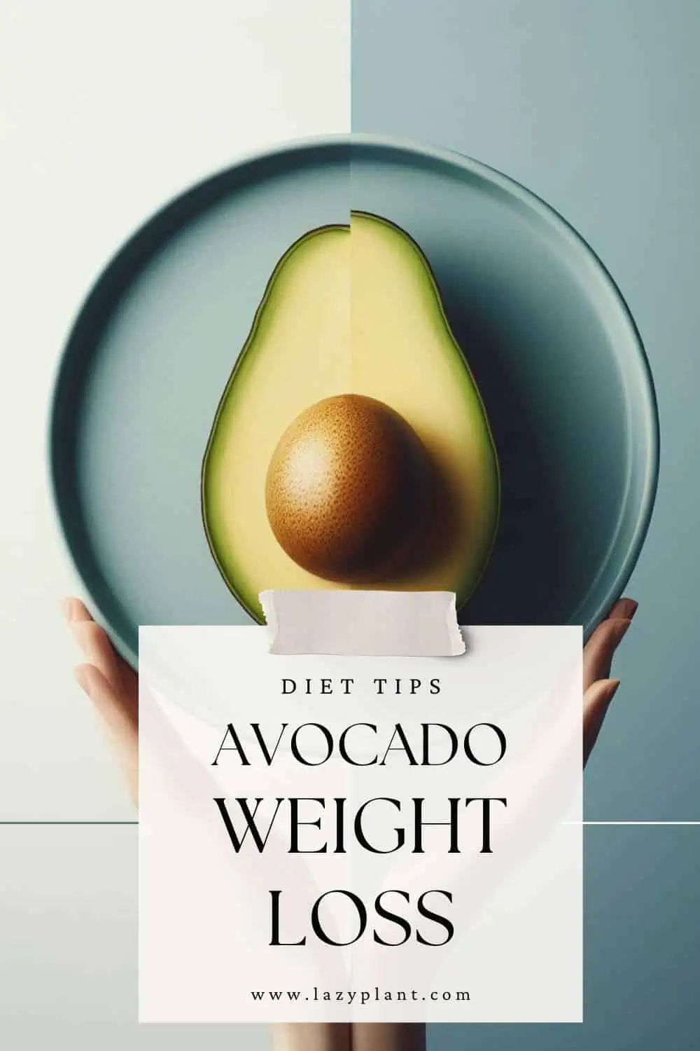 eat Avocados for Weight Loss