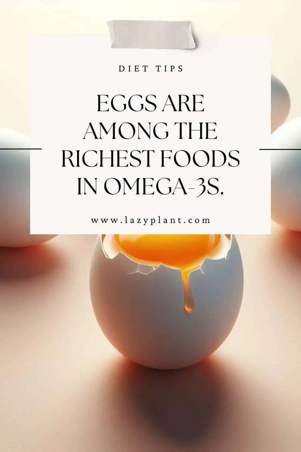 Eggs are rich in Omega-3s!