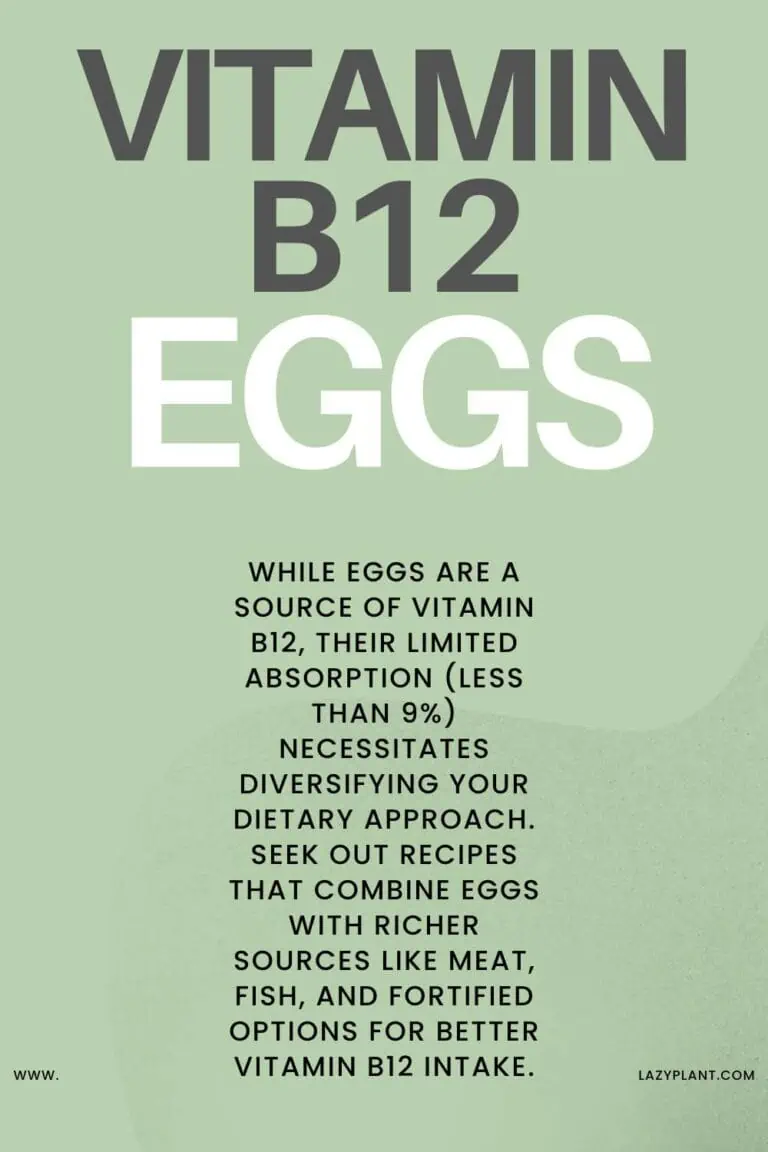 Eggs the richest source of Vitamin B12? Myths you still believe