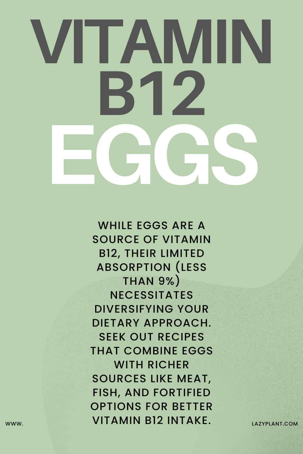 Are Eggs the richest food in Vitamin B12?