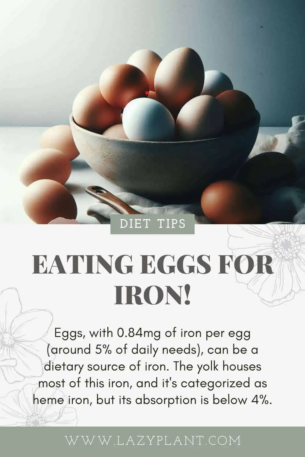 Eating Eggs for Iron
