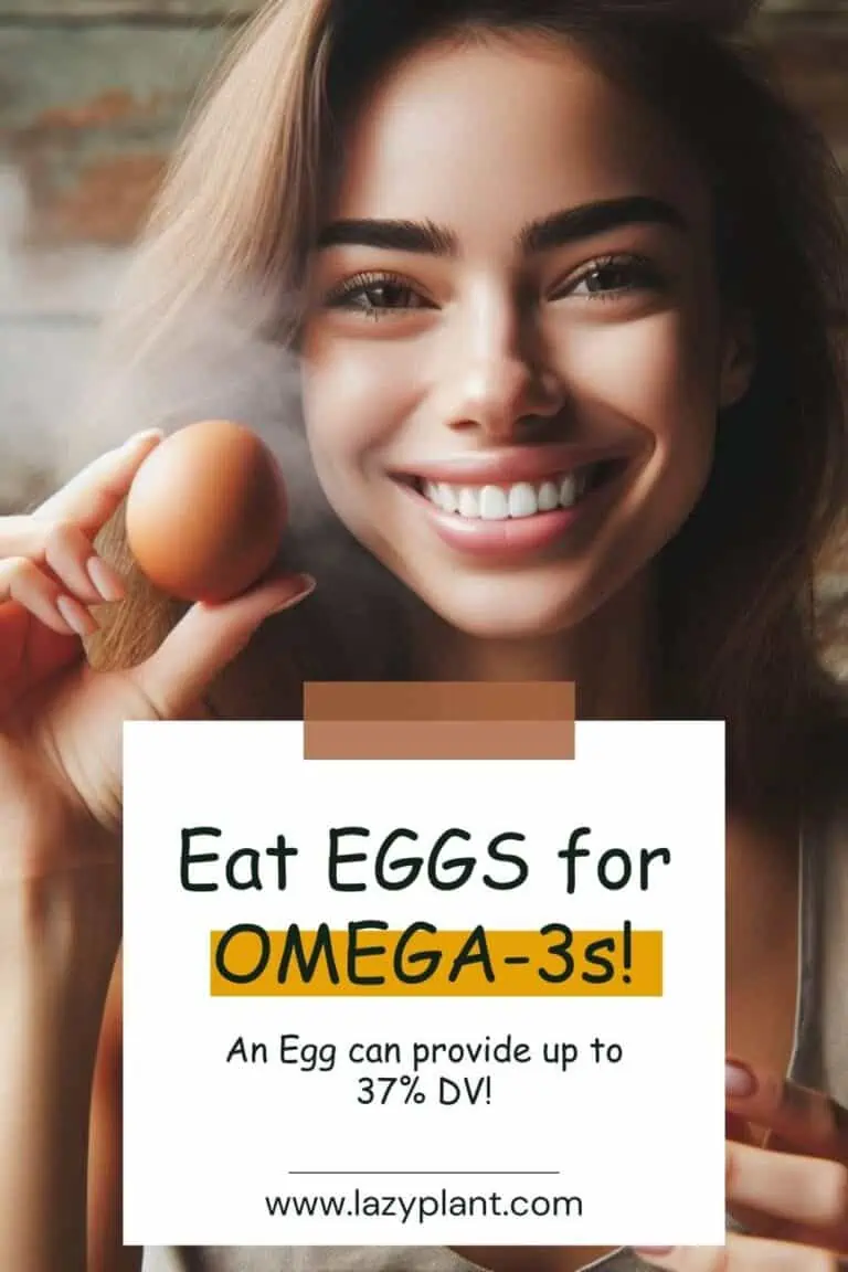 Eggs are rich in Omega3s. 8+1 Myths you still believe! LazyPlant