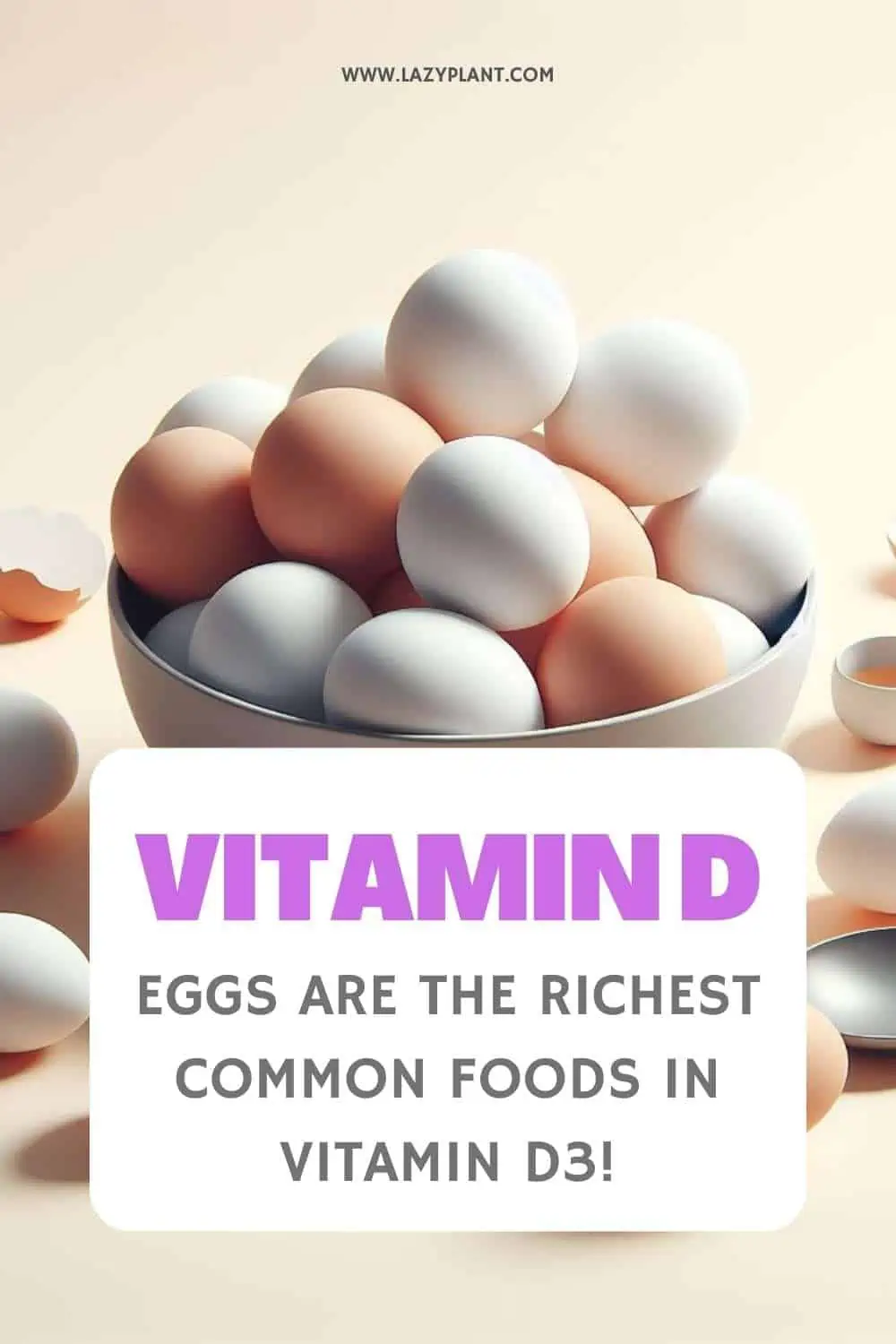 The richest common foods in vitamin D are Eggs.