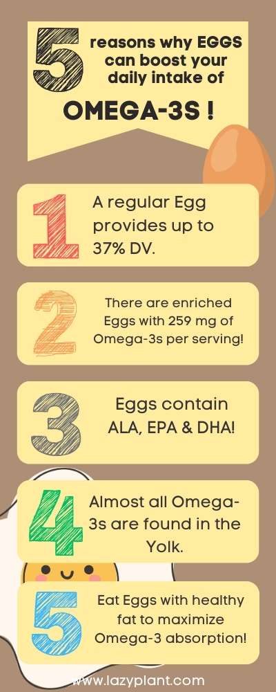 Omega-3s in Eggs | Infographics