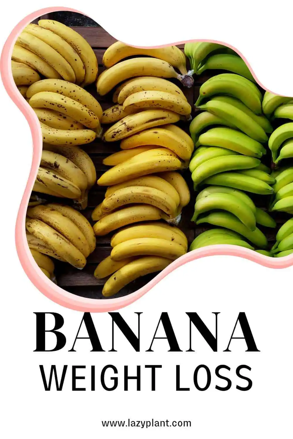 Green or Ripe bananas for Weight Loss?