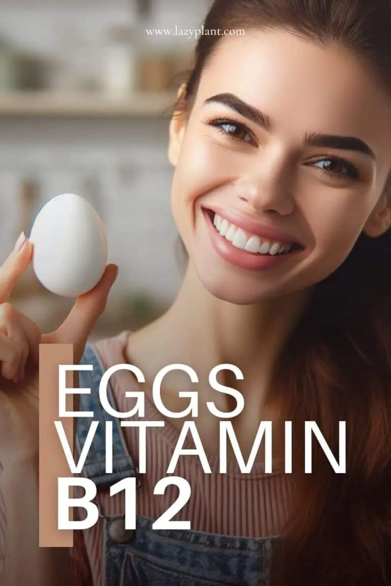 Eggs the richest source of Vitamin B12? Myths you still believe