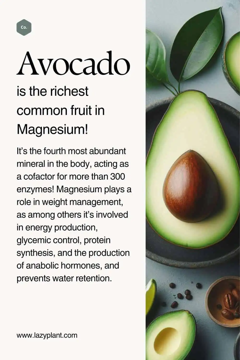 Magnesium in Avocado