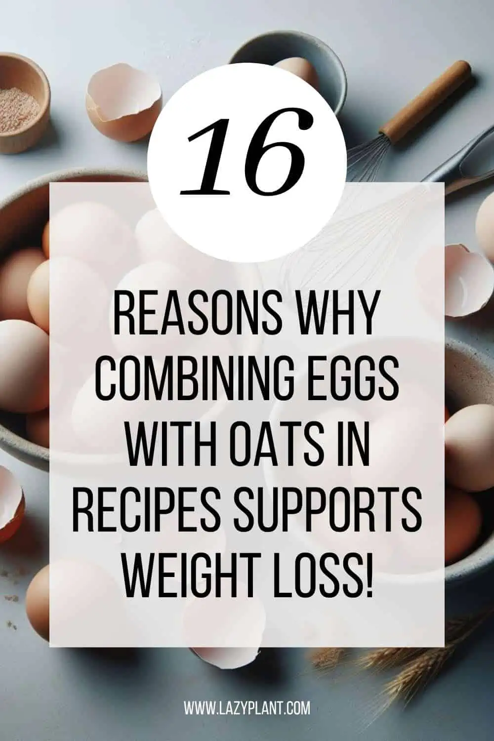 Diet tips | Recipes with Eggs & Oats support Weight Loss!