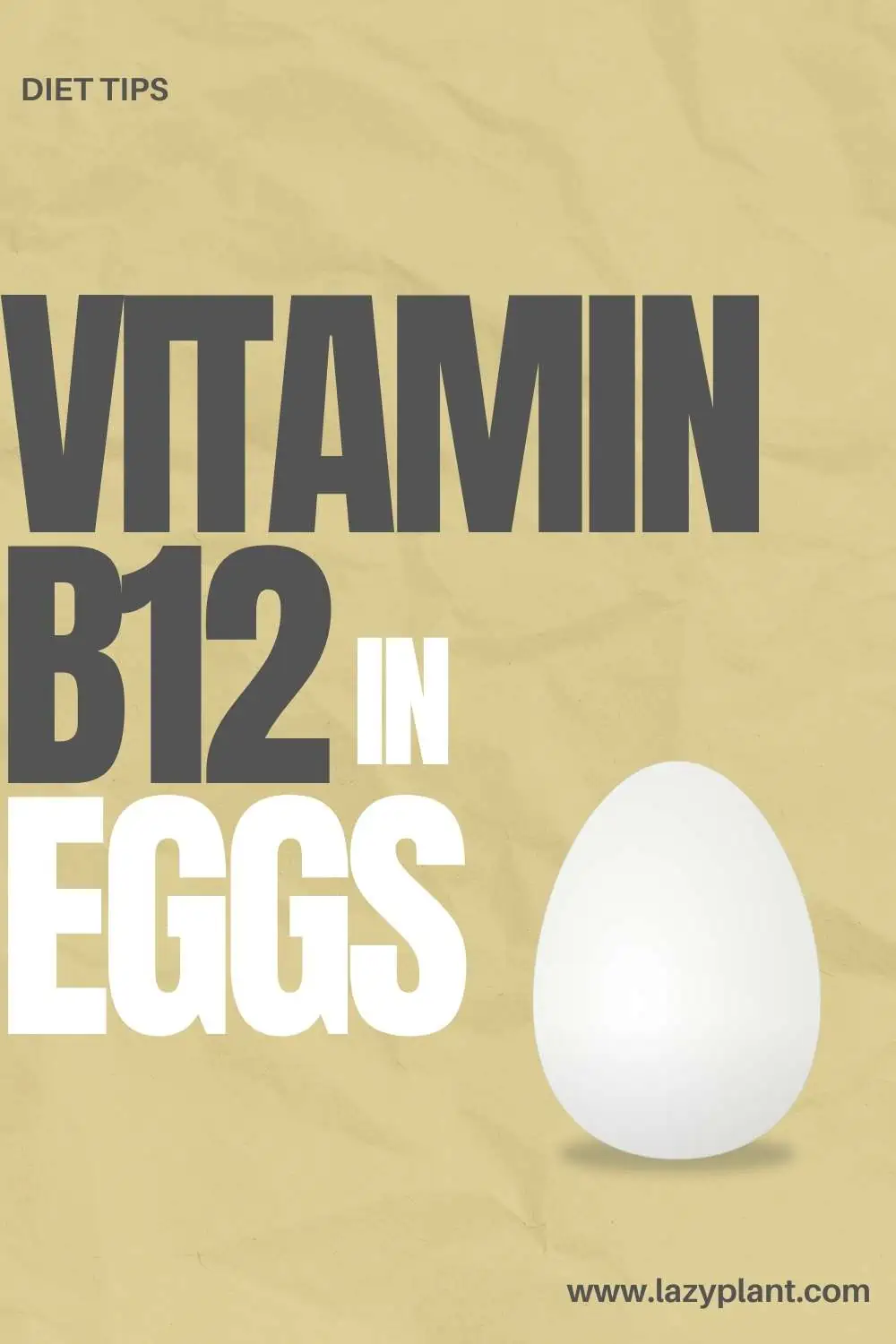 Vitamin B12 in an Egg