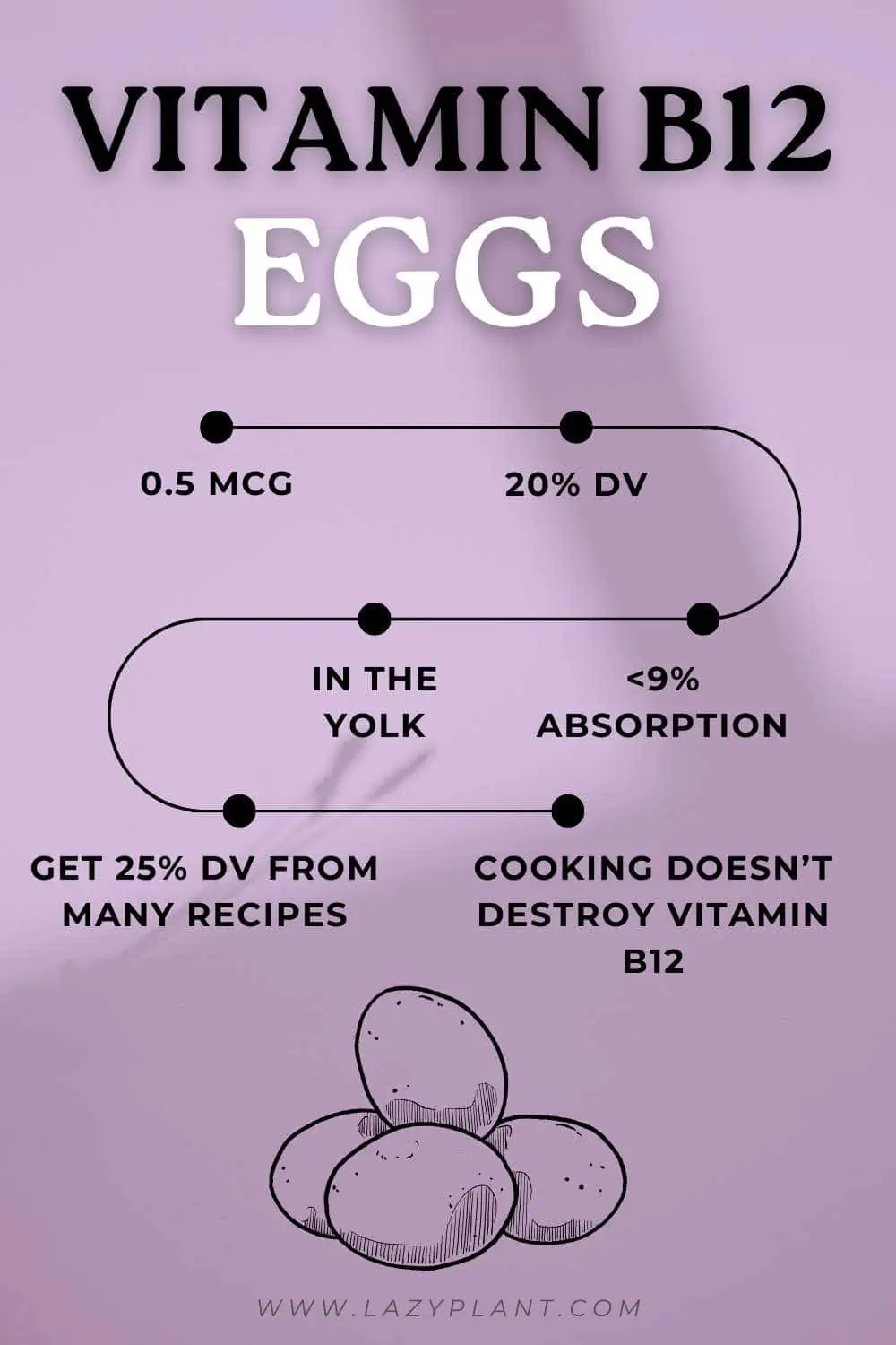 Vitamin B12 in Eggs | Infographics