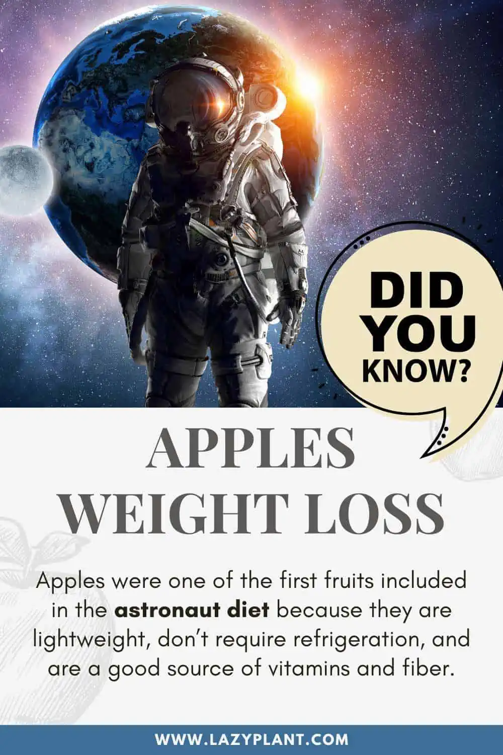 Apple | Did you know?
