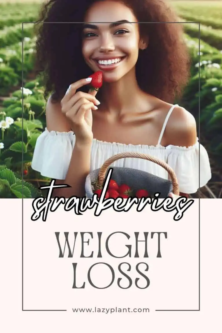 Strawberries eat them Every Day for Weight Loss! LazyPlant