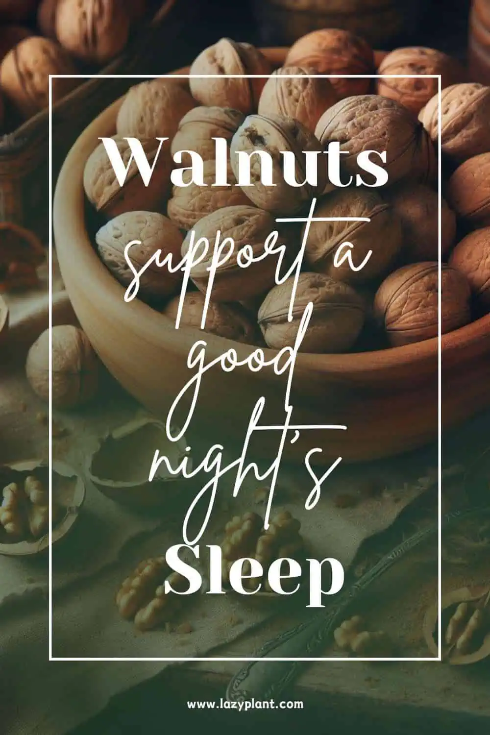 Walnuts for Sleep