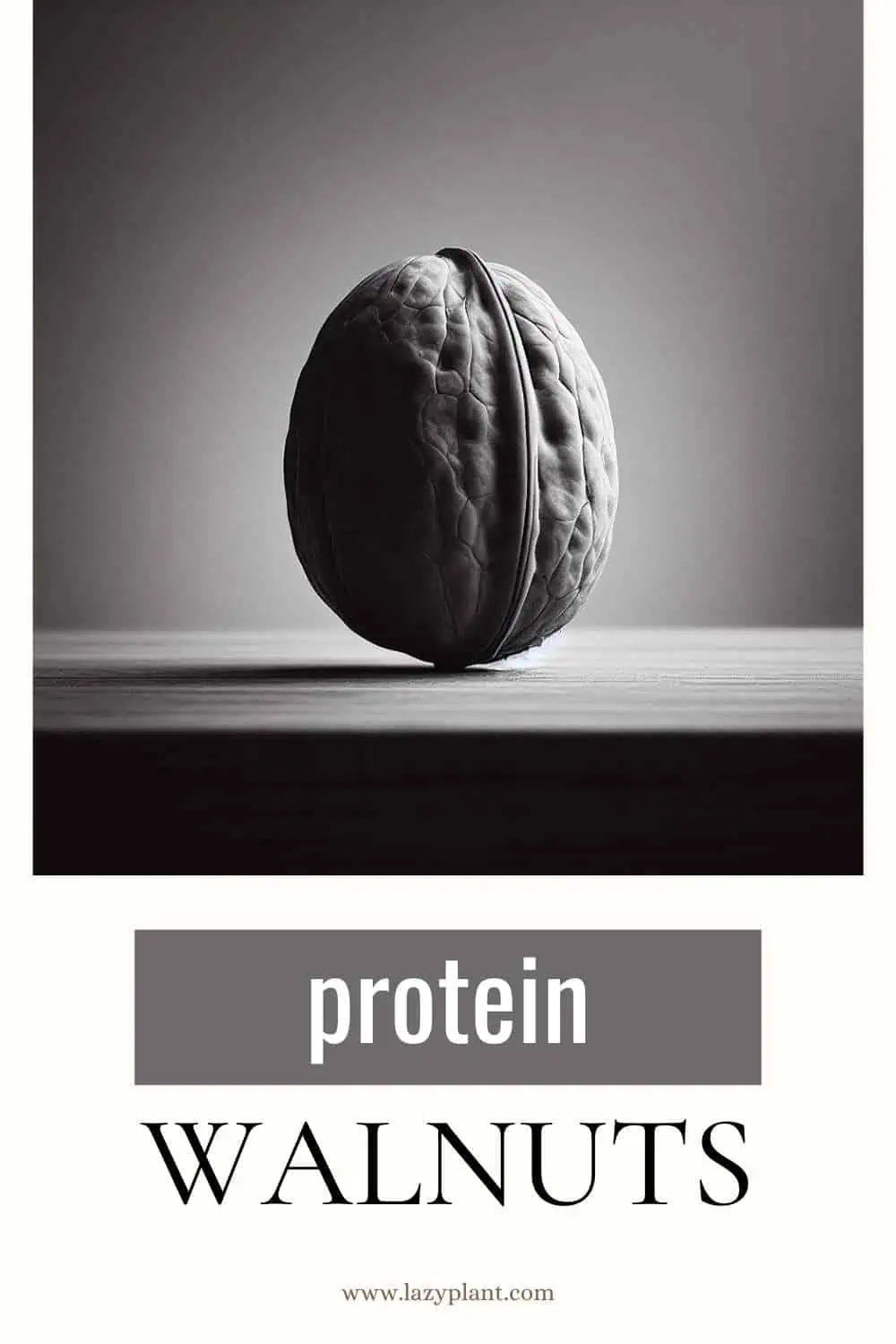How much Protein is in Walnuts?