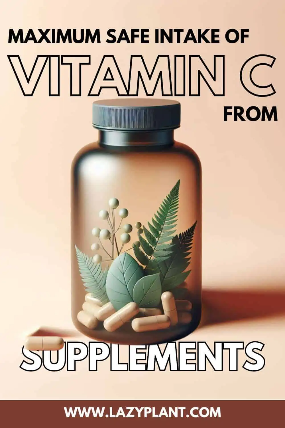 Maximum safe dose of Vitamin C