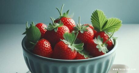 Strawberries: eat them Every Day for Weight Loss!