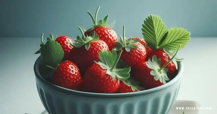 Benefits of Strawberries for Weight Loss.
