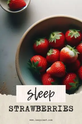 Eat Strawberries at night for better Sleep - LazyPlant