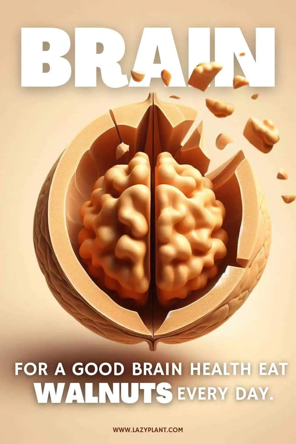 Walnuts support Brain Health