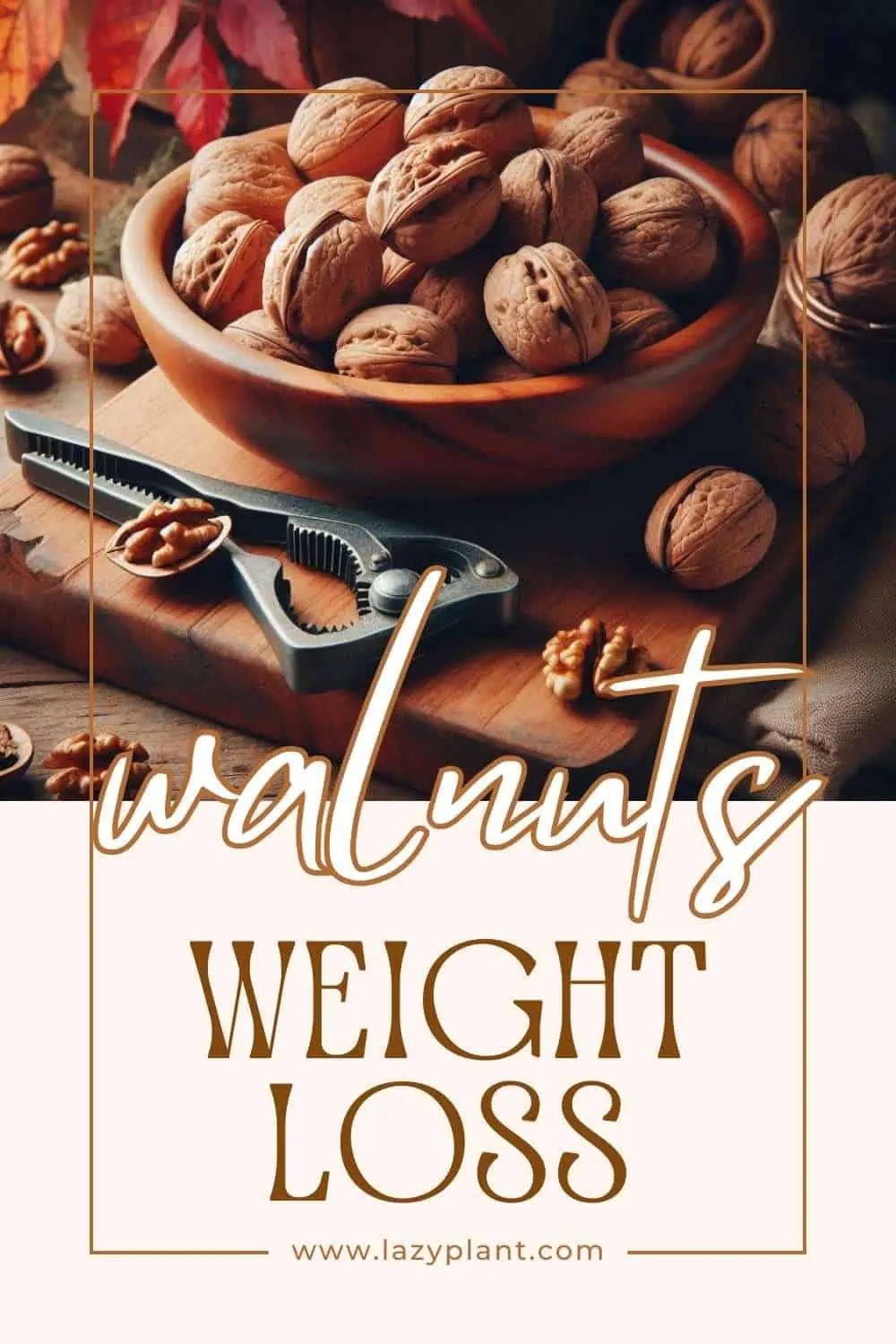 Walnuts support Weight Loss