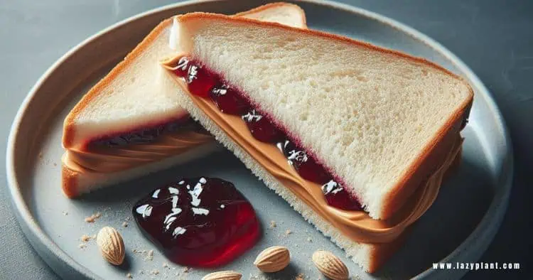 Peanut utter & Jelly Sandwich in the Mediterranean diet