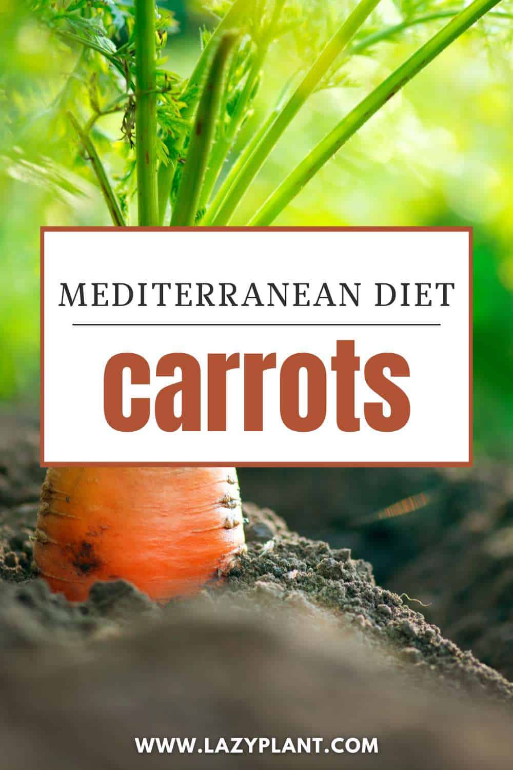 Benefits of Carrots in Mediterranean Diet