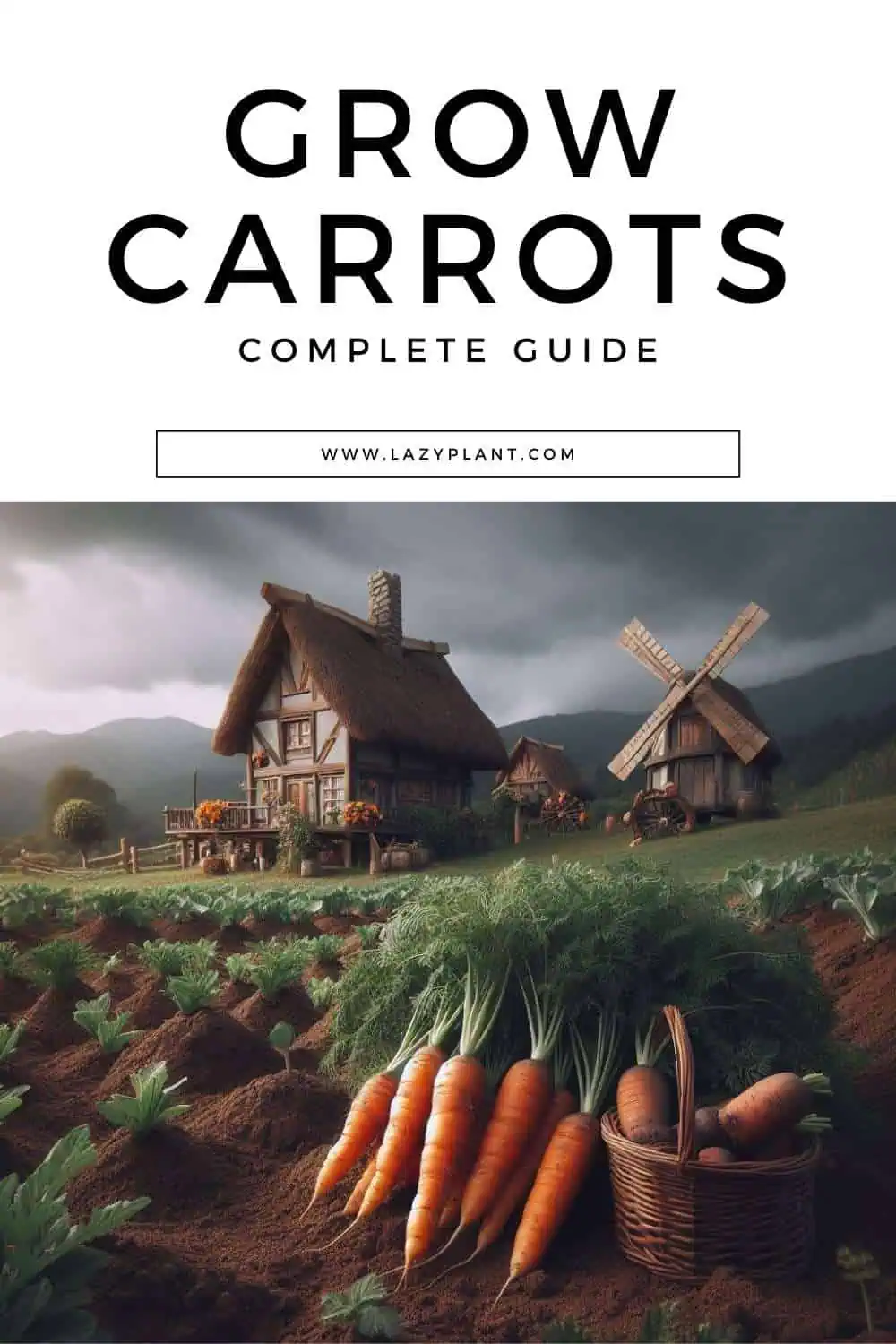 Carrot Cultivation – The Complete Guide for Beginner Gardeners