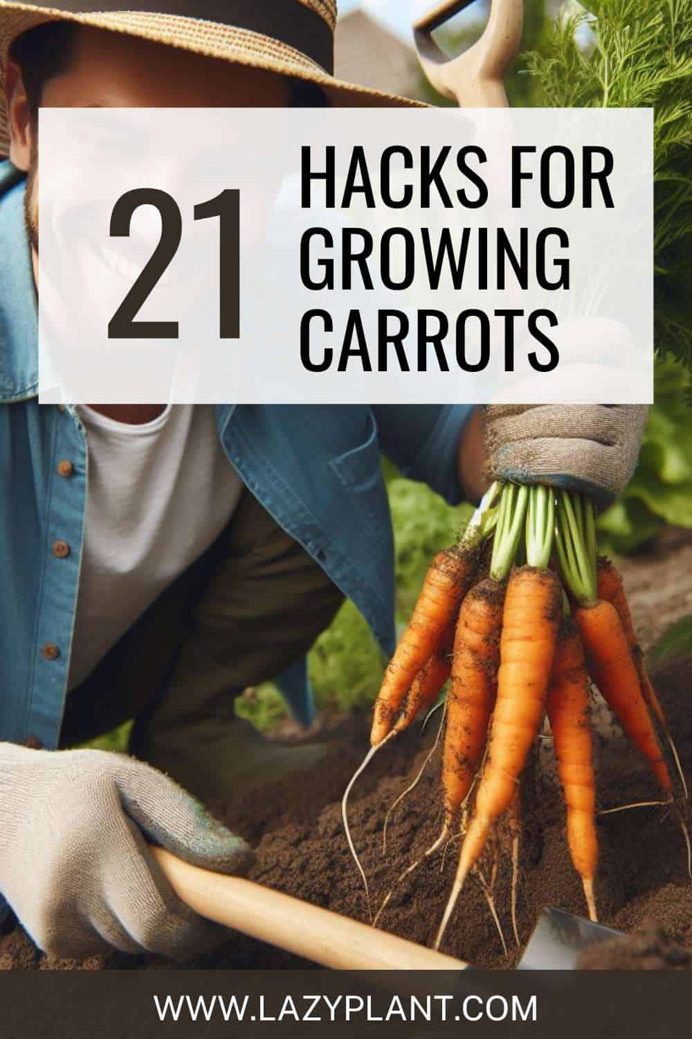 Growing Carrots | 20+1 Hacks that I Wish I Knew Sooner
