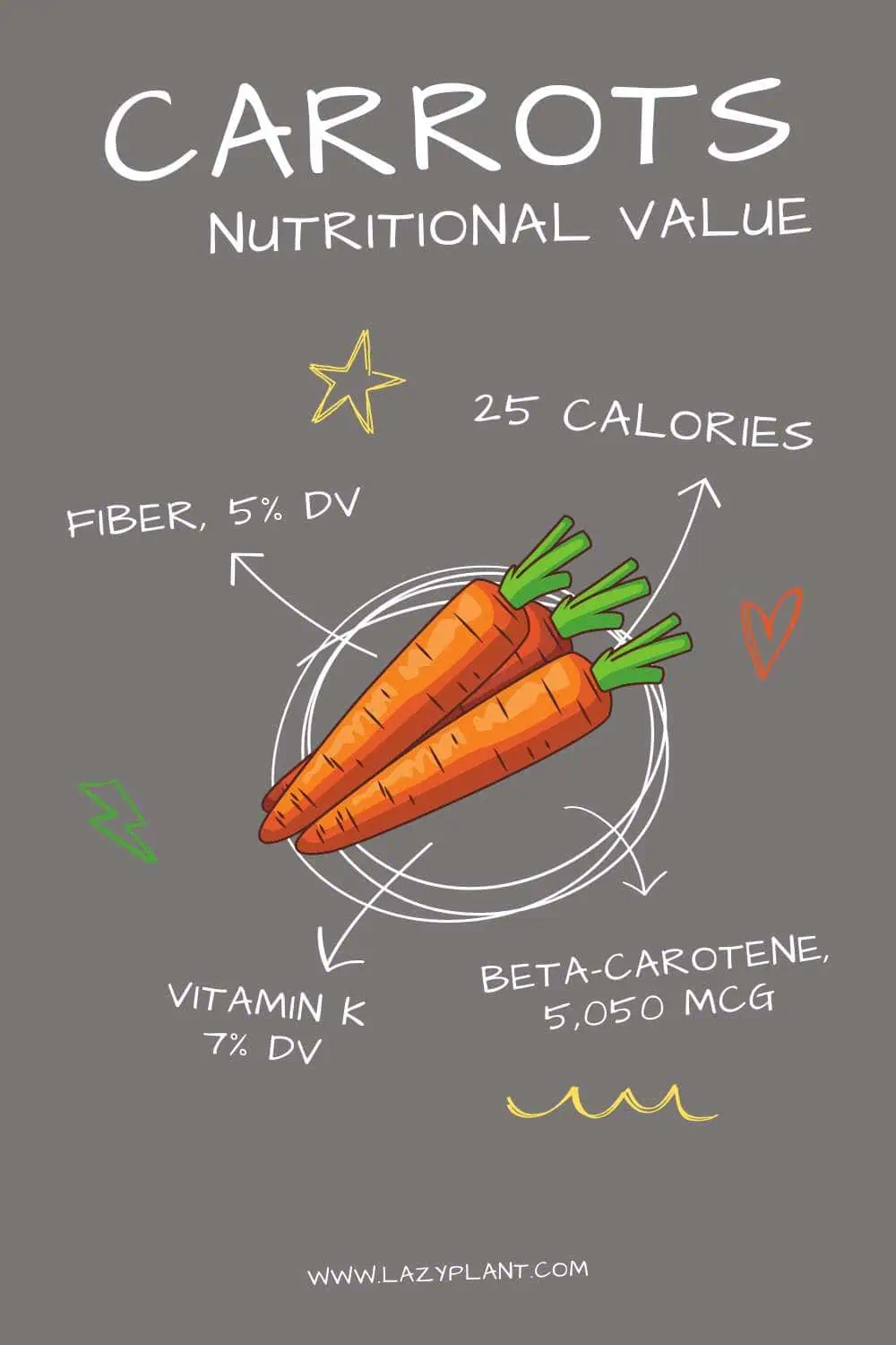Nutritional Value of Carrots
