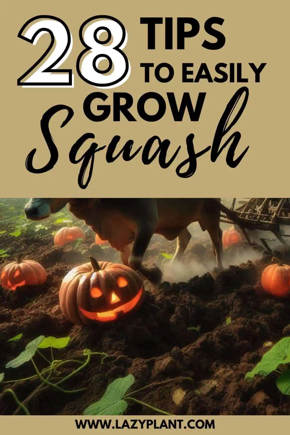 Tips for Squash Cultivation