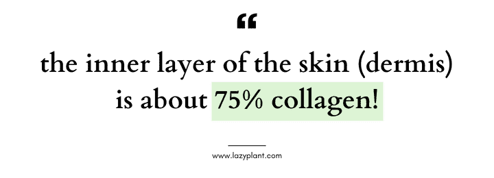 Quote | Skin, Collagen