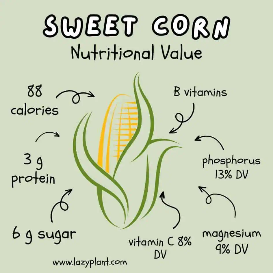 Nutritional Value of Sweet Corn