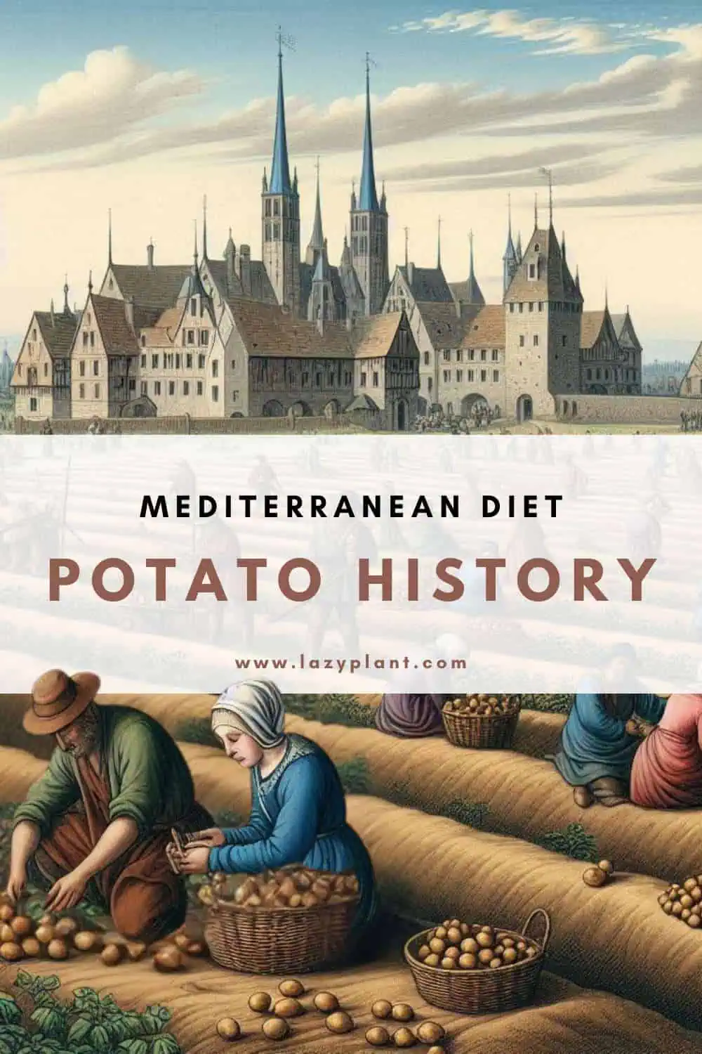 The History of Potatoes in Mediterranean Cuisine