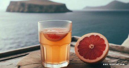 Grapefruit Juice for Weight Loss in the Mediterranean Diet